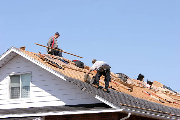 Best Flat Roofing  in Senatobia, MS